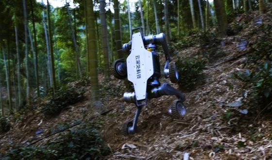 永乐高60net山猫